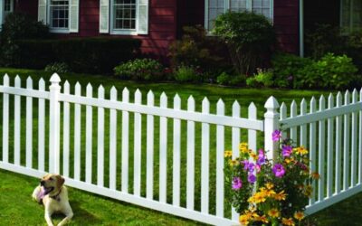 Puppy Love and Protection: 5 Reasons Why a Yard Fence is a Must-Have