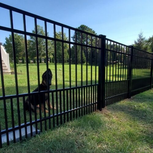 Classic black aluminum fence with a puppy picket bottom for pet safety, installed in a residential backyard.
